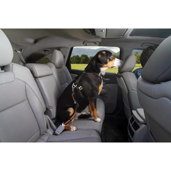 Autogordel Kurgo - Zwart/oranje - Afbeelding 2