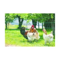 Afrasteringsnet Kippen - L 50 M × H 1,12 M