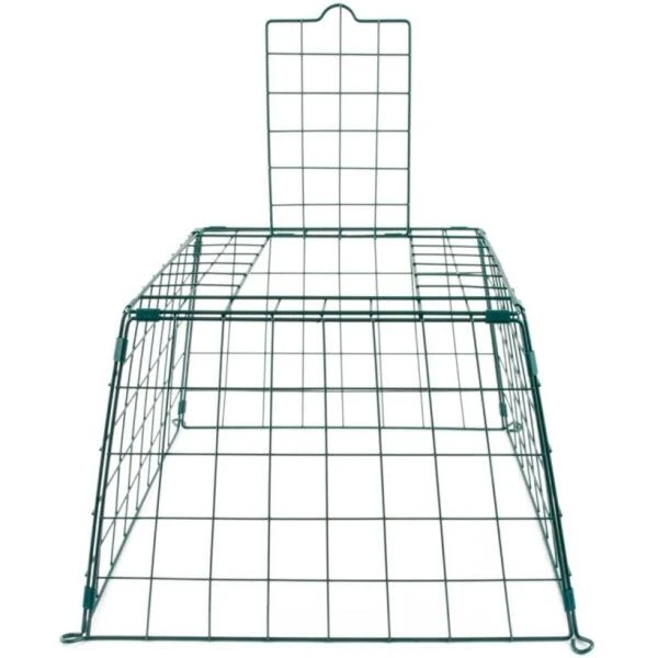 Beschermkooi Voor Kleine Tuinvogels - Afbeelding 2