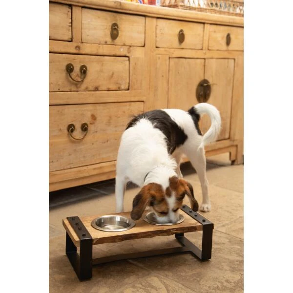 Dinerset Karinto Hond - Designed By Lotte - Afbeelding 2