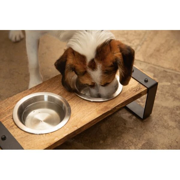 Dinerset Karinto Hond - Designed By Lotte - Afbeelding 3