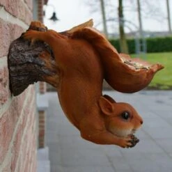 Eekhoorn Wandvoederschaal