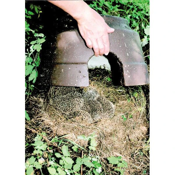 Egelkoepel Met Isolatiebodem - Schwegler - Afbeelding 3