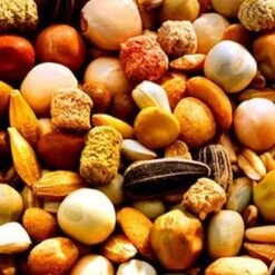 Eiwitmengeling Zware Duivenrassen GARVO 966 - 20 Kg