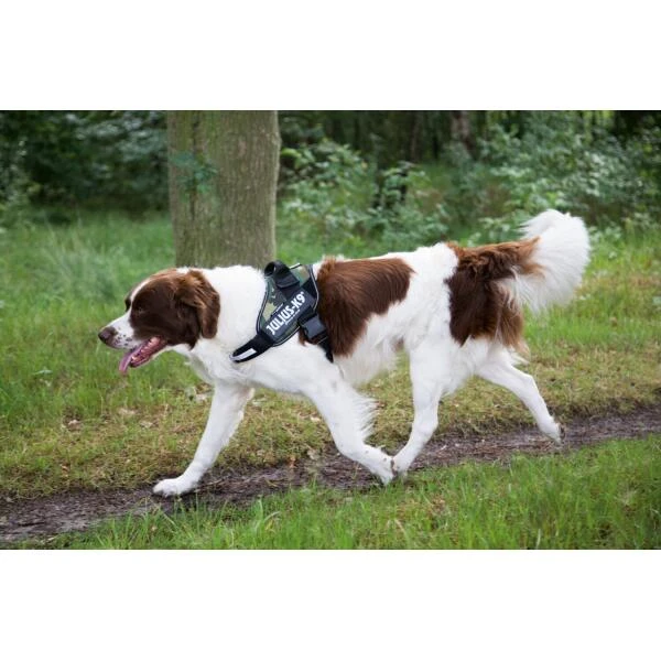 JULIUS K9 Hondentuig Camouflage - Large - Afbeelding 3