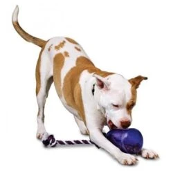 Snoepjes Zien-ruiken-horen En Proeven - M/L