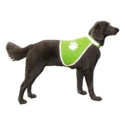 Veiligheidsjas Reflecterend S