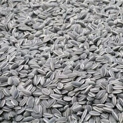 Zonnebloempitten Gestreept Ongepeld - 2,5 Kg